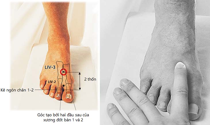 Tìm hiểu các huyệt trên bàn chân và cách tác động