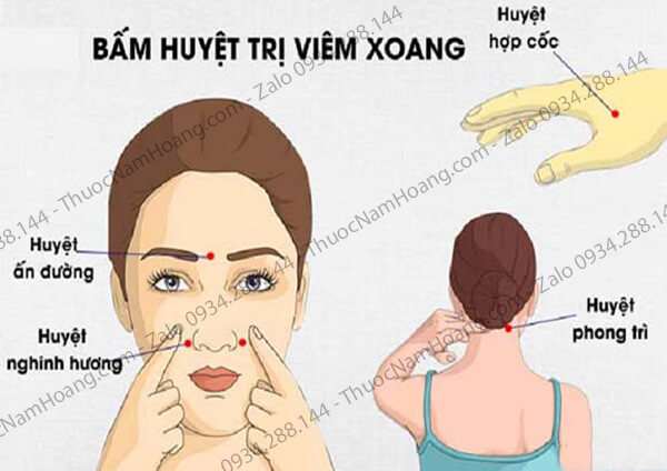 Bấm huyệt hay massage chỗ nào giúp trị bệnh xoang