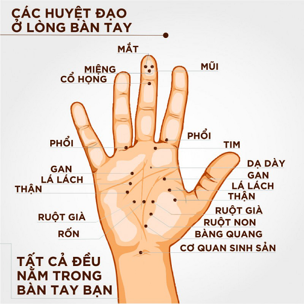 Bấm huyệt ở bàn tay giúp chữa những căn bệnh nào ?