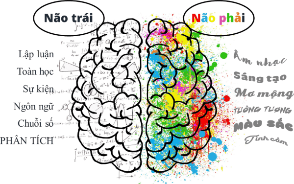 Hướng dẫn cách rèn luyện và phát triển não trái